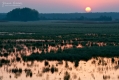 066_Biebrza - kwiecien 2012